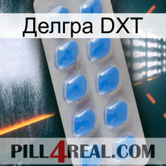 Делгра DXT 22